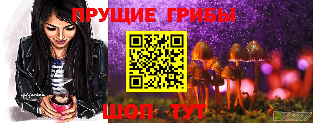 продажа наркотиков  Галлюциногенные грибы мицелий  Галлюциногенные грибы прущие грибы  Вход с VPN  Саяногорск 